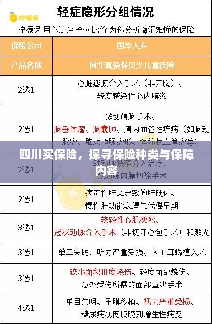 四川保险探秘，种类与保障内容全解析-图1