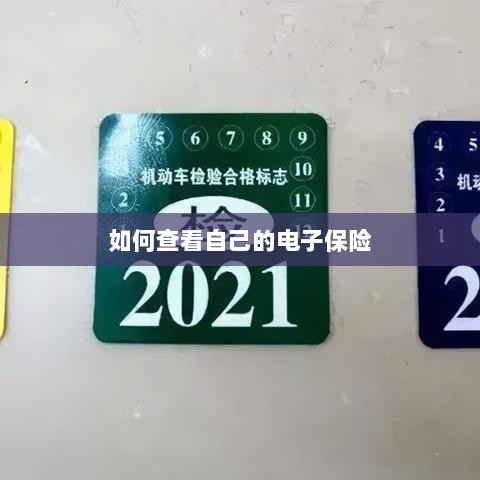 如何查看个人电子保险保单详情-图1 如何查看个人电子保险保单详情-图1