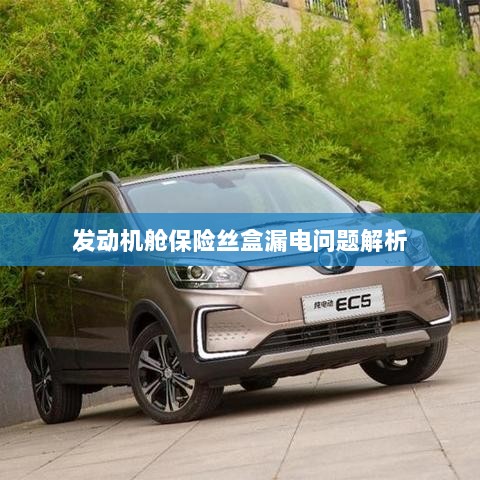 发动机舱保险丝盒漏电问题深度解析-图1 发动机舱保险丝盒漏电问题深度解析-图1