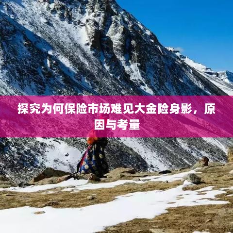 探究保险市场大金险身影缺失背后的原因与考量-图1 探究保险市场大金险身影缺失背后的原因与考量-图1