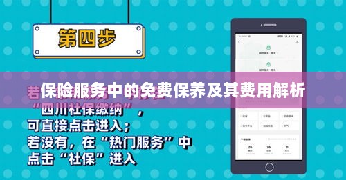 保险服务中的免费保养费用解析与指南-图1