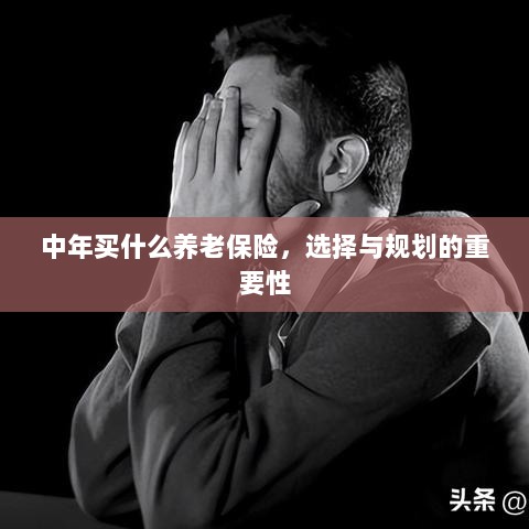 中年养老保险的选择与规划,关键性与策略探讨-图1 中年养老保险的选择与规划,关键性与策略探讨-图1