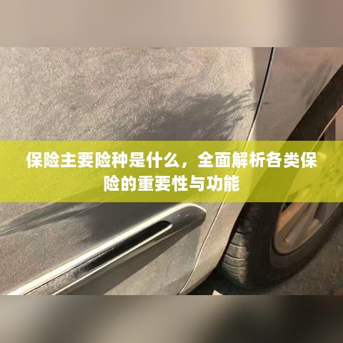 全面解析保险主要险种,各类保险的重要性与功能介绍-图1 全面解析保险主要险种,各类保险的重要性与功能介绍-图1