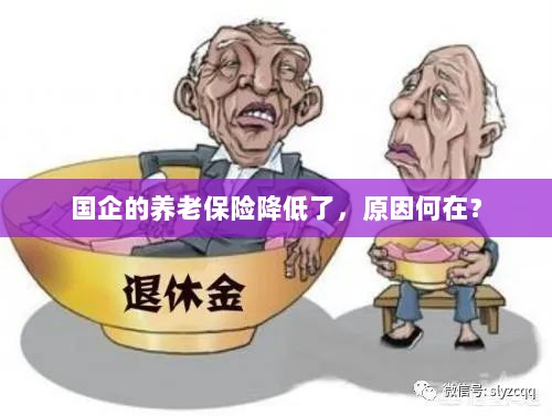 国企养老保险降低的原因探究-图1 国企养老保险降低的原因探究-图1