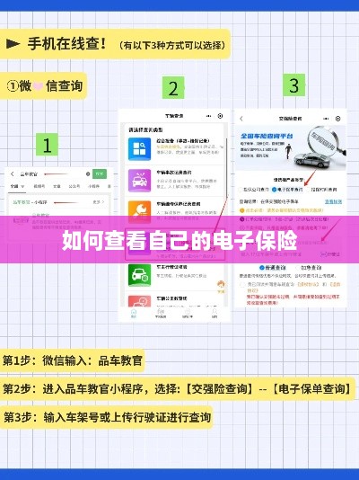 如何查看个人电子保险保单详情-图1
