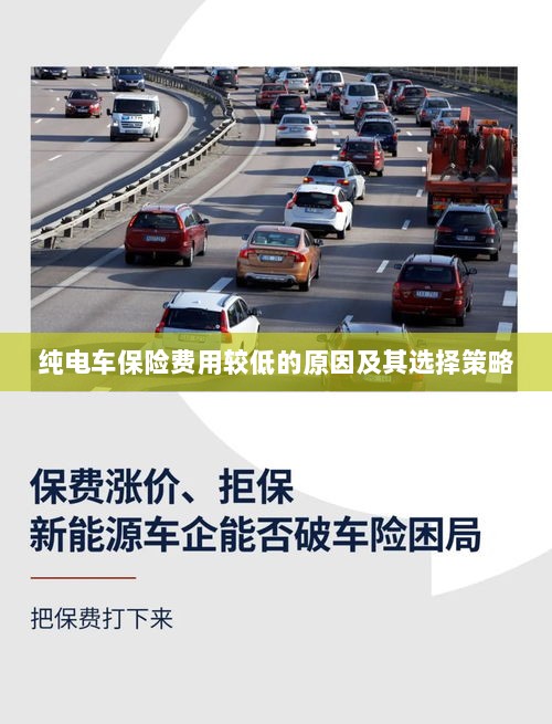 纯电车保险费用较低的原因与选择策略解析-图1 纯电车保险费用较低的原因与选择策略解析-图1
