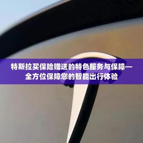 特斯拉保险特色服务,全方位保障智能出行体验-图1 特斯拉保险特色服务,全方位保障智能出行体验-图1
