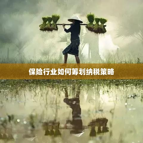 保险行业的纳税策略筹划之道-图1