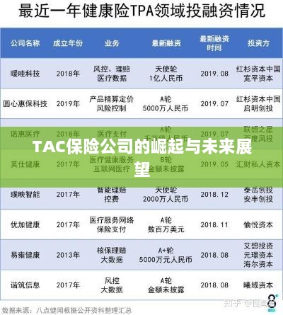 TAC保险公司的崛起及未来展望-图1 TAC保险公司的崛起及未来展望-图1