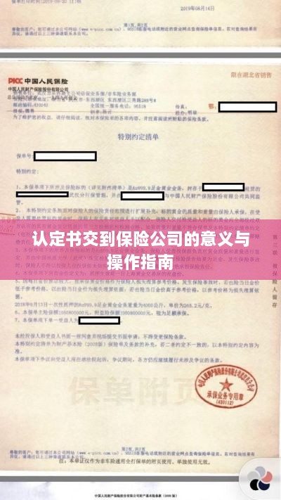 认定书交到保险公司的意义详解及操作指南-图1 认定书交到保险公司的意义详解及操作指南-图1