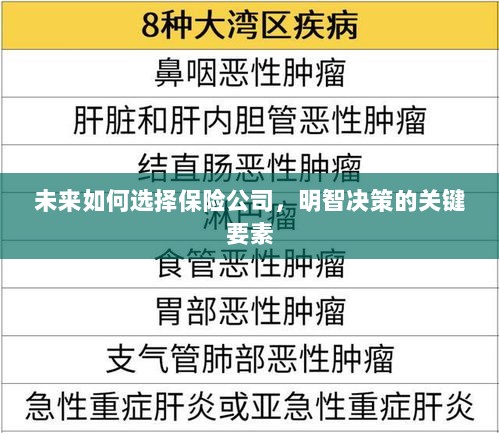 未来如何选择保险公司，明智决策的关键要素概览-图1