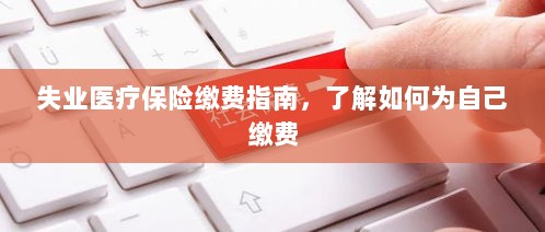 失业医疗保险缴费详解，如何为自己缴费的指南-图1