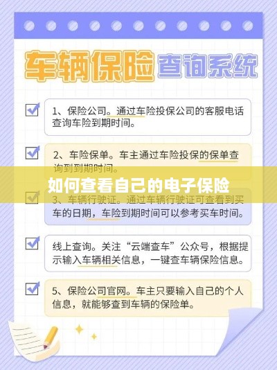如何查看个人电子保险保单详情-图1