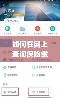 网上查询保险缴纳情况攻略-图1