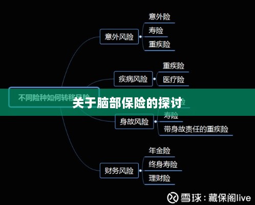 脑部保险，深度探讨与解析-图1