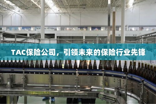 TAC保险公司,引领保险行业未来先锋-图1 TAC保险公司,引领保险行业未来先锋-图1
