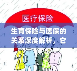 生育保险与医保关系深度解析，是否属于医保范畴？-图1