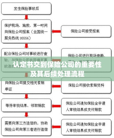认定书对保险公司的重要性及后续处理流程详解-图1 认定书对保险公司的重要性及后续处理流程详解-图1