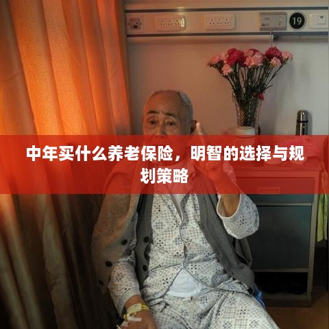 中年明智之选,养老保险的规划与策略-图1 中年明智之选,养老保险的规划与策略-图1