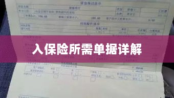 入保险必备单据解析-图1