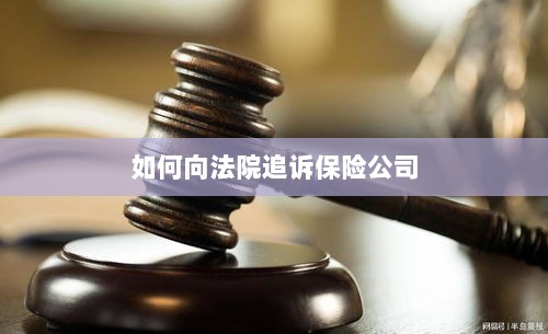 保险公司追诉指南，如何向法院提起诉讼索赔-图1