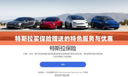 特斯拉保险特惠，买保险即享特色服务与优惠大礼包-图1