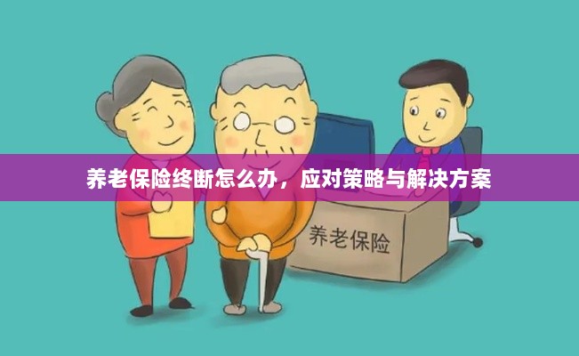 养老保险中断应对指南，解决方案与策略-图1