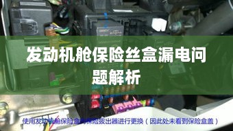 发动机舱保险丝盒漏电问题深度解析-图1