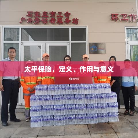 太平保险,定义、功能及其重要性-图1 太平保险,定义、功能及其重要性-图1