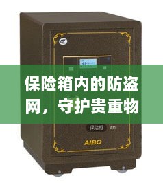 保险箱内防盗网，守护贵重物品的安全屏障-图1