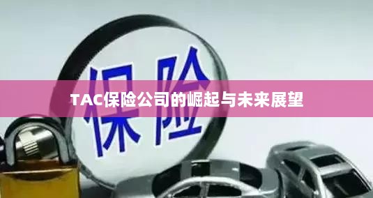 TAC保险公司的崛起及未来展望-图1 TAC保险公司的崛起及未来展望-图1