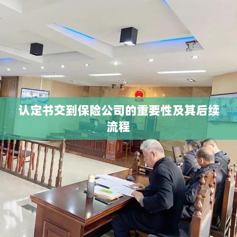 认定书对保险公司的重要性及后续流程详解-图1 认定书对保险公司的重要性及后续流程详解-图1