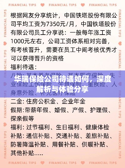 华瑞保险公司待遇深度解析与体验分享-图1