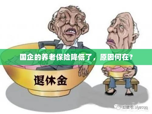 国企养老保险降低的原因探究-图1 国企养老保险降低的原因探究-图1