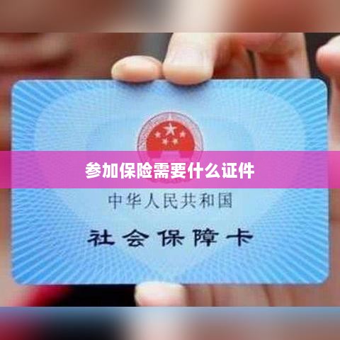 参加保险所需证件概览-图1