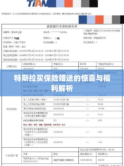 特斯拉保险赠品福利大解析,惊喜与优惠一网打尽!-图1 特斯拉保险赠品福利大解析,惊喜与优惠一网打尽!-图1