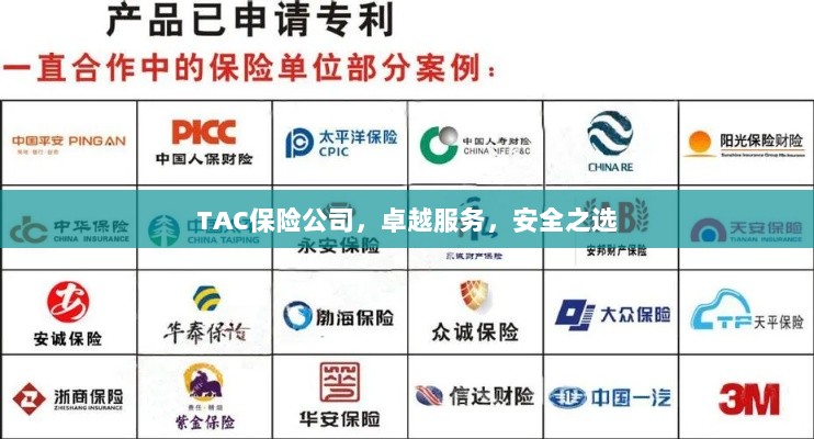 TAC保险公司,卓越服务,信赖的安全之选-图1 TAC保险公司,卓越服务,信赖的安全之选-图1