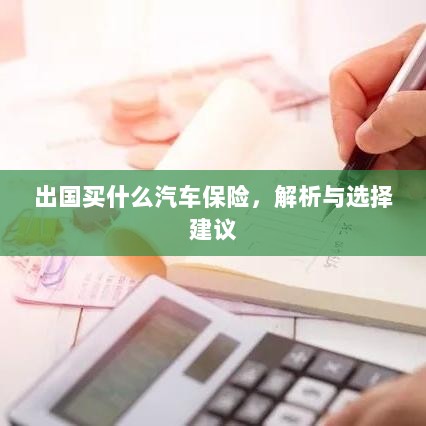 出国购车保险指南，解析与选择建议-图1