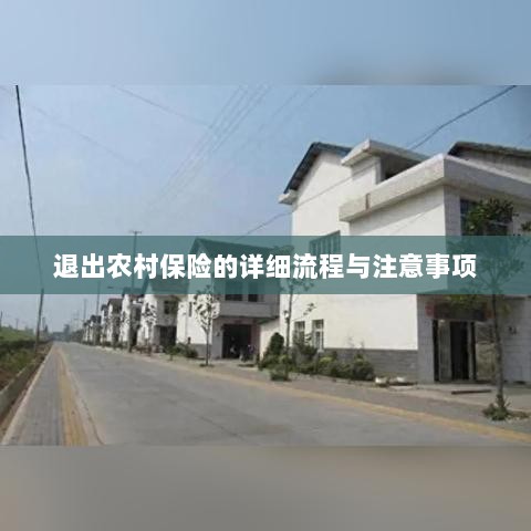 退出农村保险的详细流程与注意事项全解析-图1