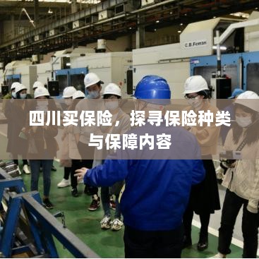 四川保险探秘,种类与保障内容全解析-图1 四川保险探秘,种类与保障内容全解析-图1