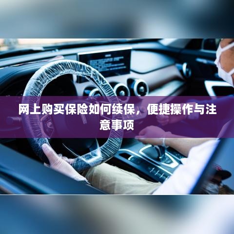 网上购买保险续保攻略,便捷操作及注意事项-图1 网上购买保险续保攻略,便捷操作及注意事项-图1