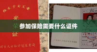 参加保险所需证件概览-图1