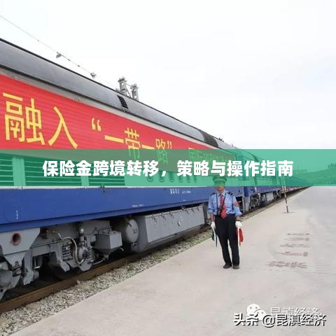 保险金跨境转移策略及操作指南-图1 保险金跨境转移策略及操作指南-图1