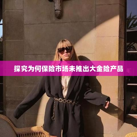 保险市场为何未推出大金险产品探究-图1 保险市场为何未推出大金险产品探究-图1