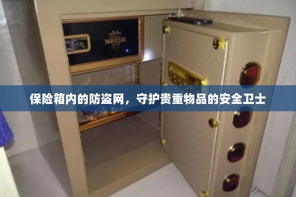 保险箱内防盗网,守护贵重物品的安全屏障-图1 保险箱内防盗网,守护贵重物品的安全屏障-图1