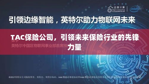 TAC保险公司,领航未来保险行业,成为先锋典范-图1 TAC保险公司,领航未来保险行业,成为先锋典范-图1