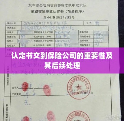 认定书交到保险公司的重要性及后续处理流程详解-图1