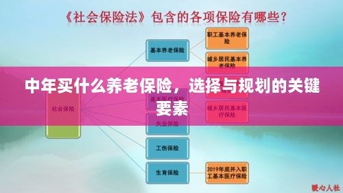 中年养老保险选择与规划的关键要素解析-图1 中年养老保险选择与规划的关键要素解析-图1
