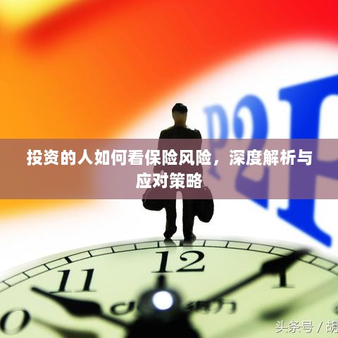深度解析，投资者眼中的保险风险与应对策略-图1