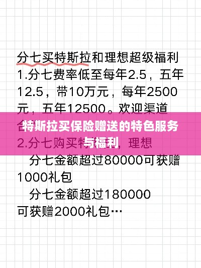 特斯拉保险特惠，独家特色服务与丰厚赠品等你来享-图1